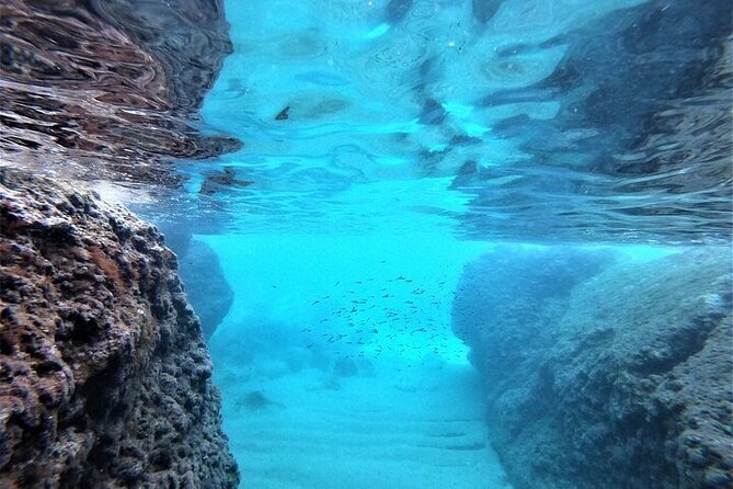 2 hours Elafiti Islands Private Tour by Barracuda 545 - Snorkeling gear and drinks, included so you can relax