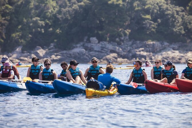 Afternoon Kayaking in Dubrovnik - Key highlights