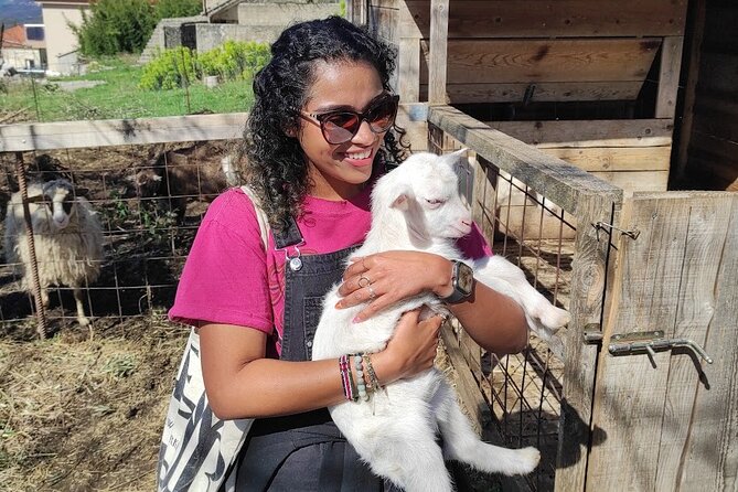 Authentic Garden to Table Cooking Class in Dubrovnik Countryside - The Garden Walk: Harvesting Eggs and Learning How Food Grows