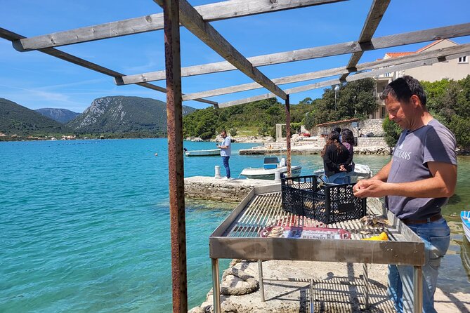 Authentic private viewpoint wine&dine tour - Ston Stop: Walls, Salt, and an Oyster Tasting Break