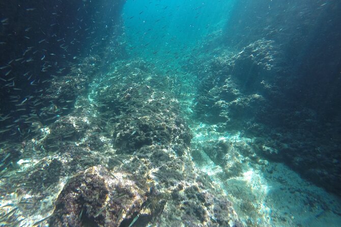 Blue cave tour with a speedboat-small group - Small-group feel with a maximum of 50 people