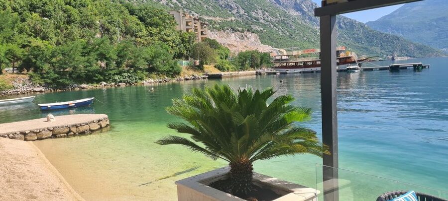 Blue Sea & Black Mountains - Montenegro - Kotor Free Time: History, Cat Energy, and Picking Your Own Pace