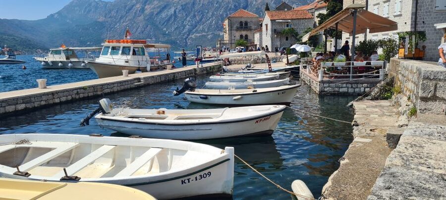 Blue Sea & Black Mountains - Montenegro - Transport and Group Size: A Minibus Day That Feels Personal