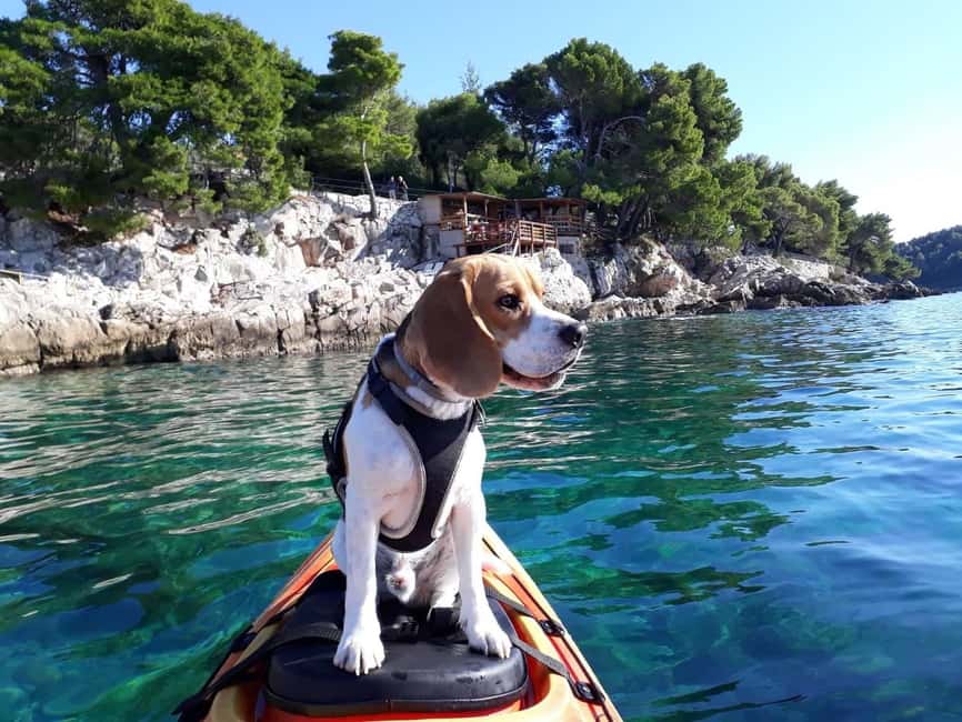 Cavtat: 'Pomalo' Guided Sea Kayaking Tour - Pomalo sea kayaking in Cavtat: a calmer way to see the Adriatic