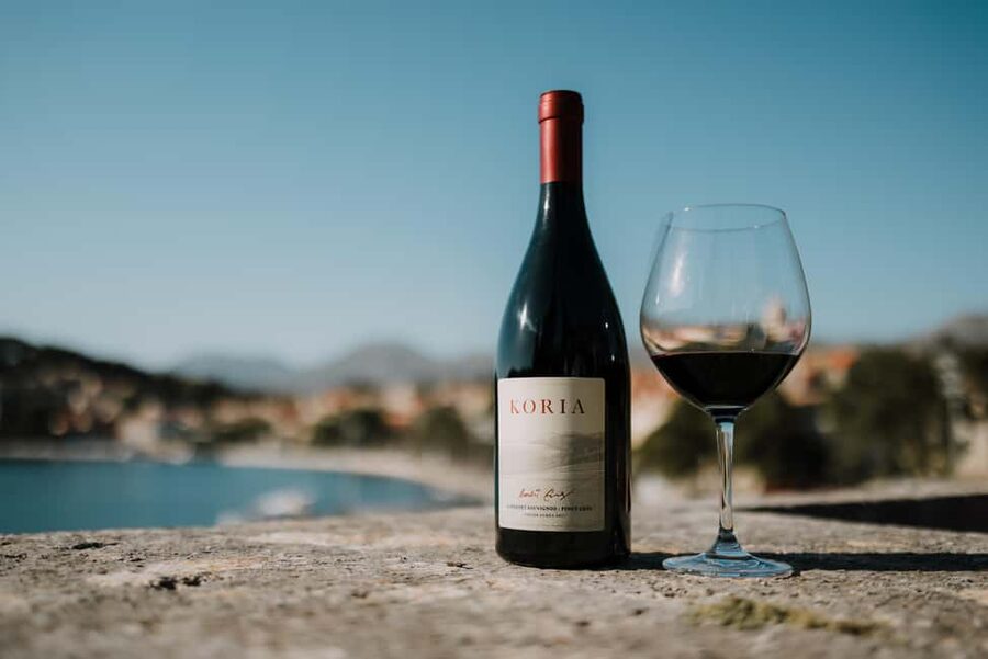 Cavtat Wine Experience: Tasting at Wine Bar Banac - Who this tour fits best, and who should skip it