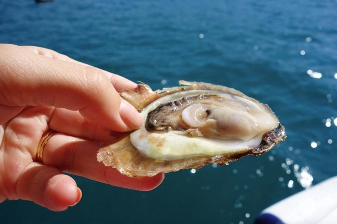 Classic Tour with Wine Tastings from Dubrovnik - Peljesac Day Trip: The Value of Getting Out of Dubrovnik