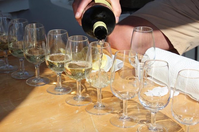 Classic Tour with Wine Tastings from Dubrovnik - Pickup, Van Comfort, and Who This Day Trip Fits