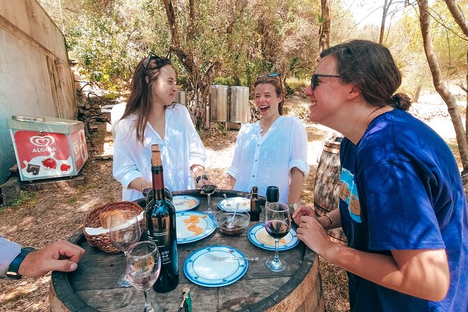 Coastal Vineyards: A Dream Wine Tour to Elaphiti Islands - Key Highlights