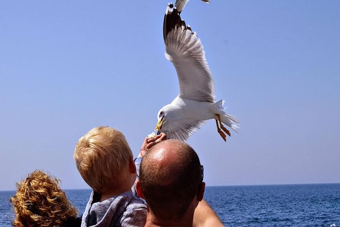 Day Cruise in the Elafiti Islands from Dubrovnik - Lopud stop: sandy time, botanical gardens, and island churches