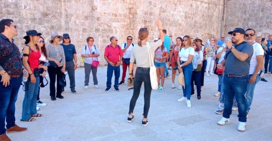 Dubrovnik: 1.5-Hour Guided Old Town Walking Tour - Getting your bearings at Pile Gate and the Amerling fountain