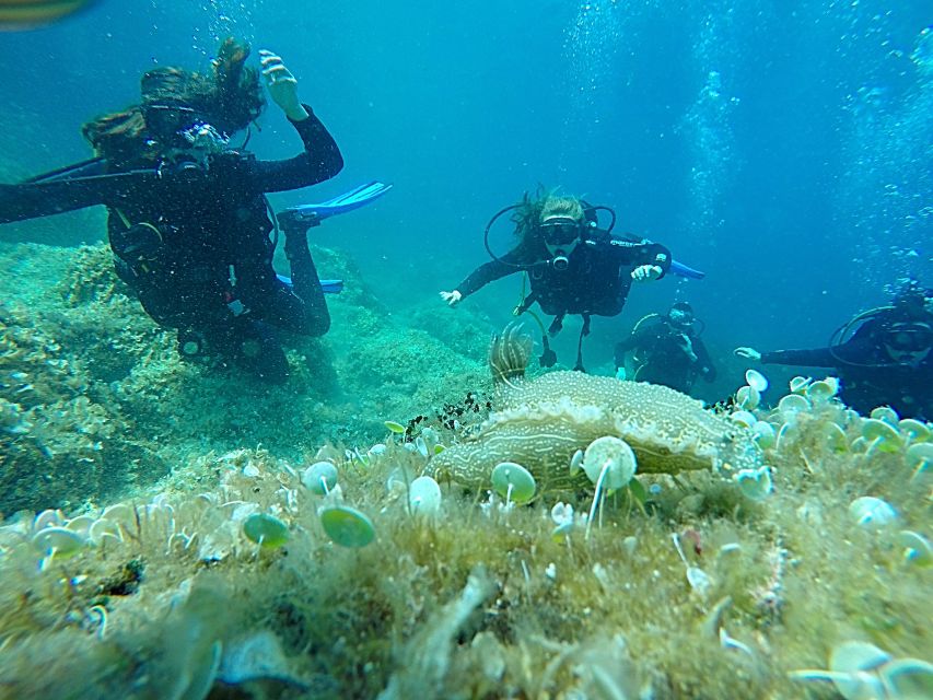 Dubrovnik: 1-Day Discover Scuba Diving Course - Theory and Equipment Briefing: The Part That Saves Your Day