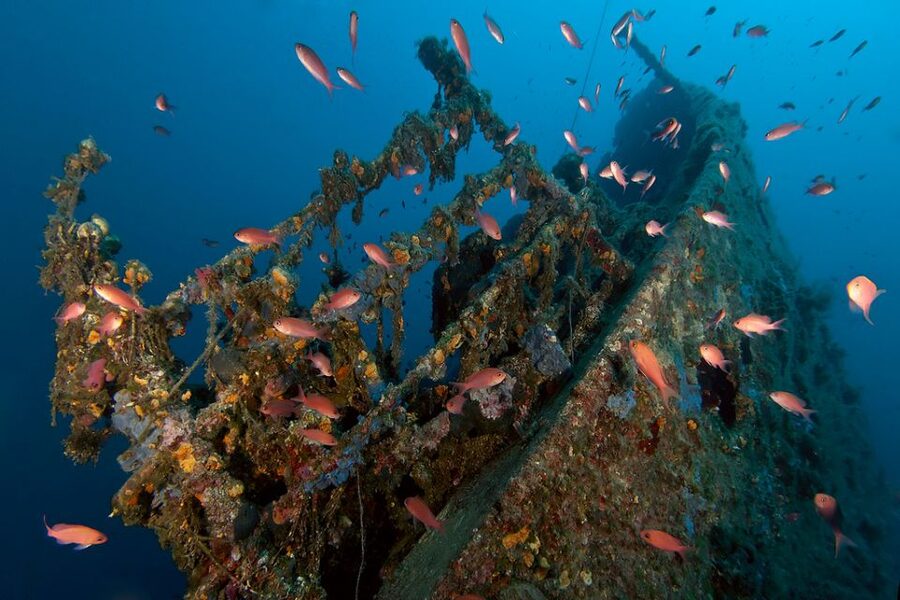 Dubrovnik: 1-Day Diving Package - Key takeaways before you go