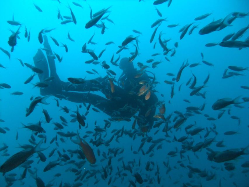Dubrovnik: 1-Day Diving Package - A one-day scuba plan in Dubrovnik’s south Adriatic
