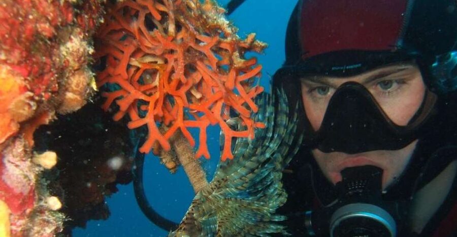 Dubrovnik: 1-Day Diving Package - Meeting point at the Dubrovnik Palace Hotel