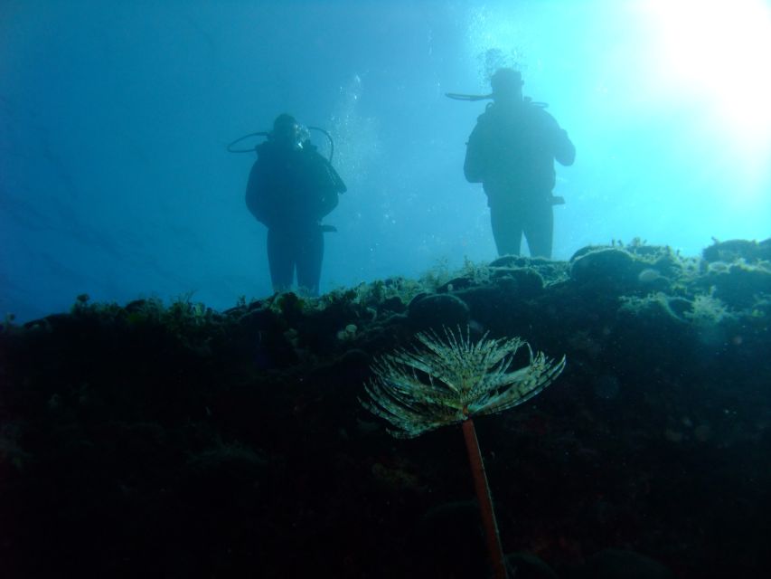 Dubrovnik: 1-Day Diving Package - Boat sites: wrecks and caves you can only reach by water
