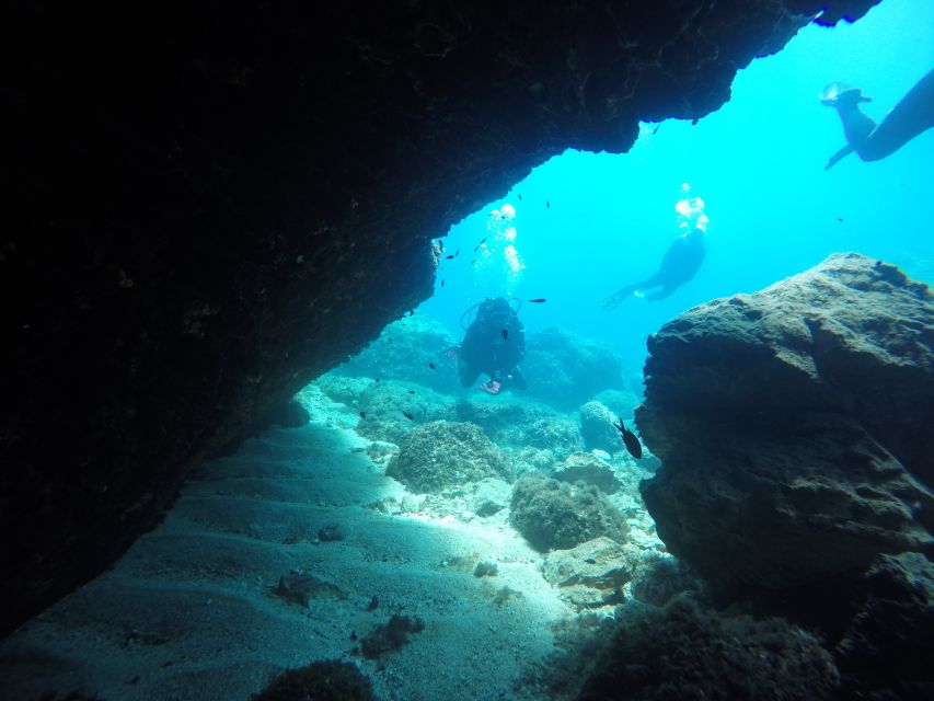 Dubrovnik: 1-Day Diving Package - Equipment, instruction, and the “find the life” factor