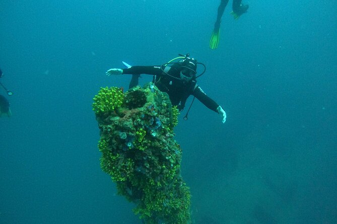 Dubrovnik 1 Dive for Certified Divers - Safety Stop Done Right, With Michele’s Bubble Ring Touch
