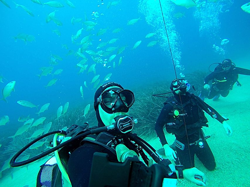 Dubrovnik 2-Hour Uncertified Divers Introductory Dive - Should you book this first-time scuba session in Dubrovnik?