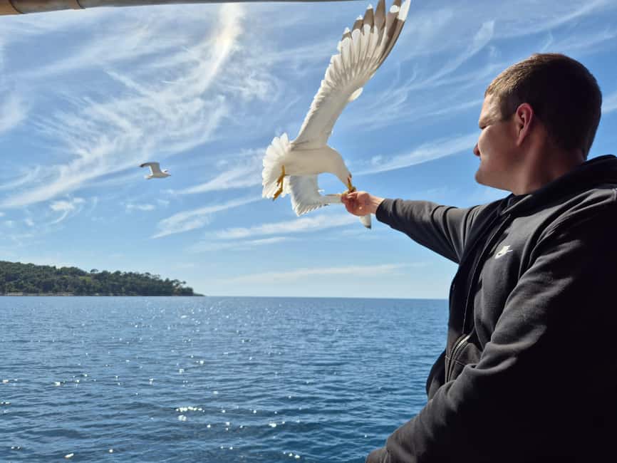 Dubrovnik: 3 Island Boat Tour with Lunch and Guide - Starting from Obala Stjepana Radića and the Trsteno Arboretum transfer