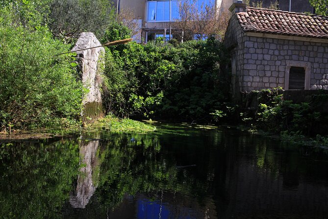 Dubrovnik: Best views Sightseeing Tour - Franjo Tudman Bridge photos: framing the entrance to the city