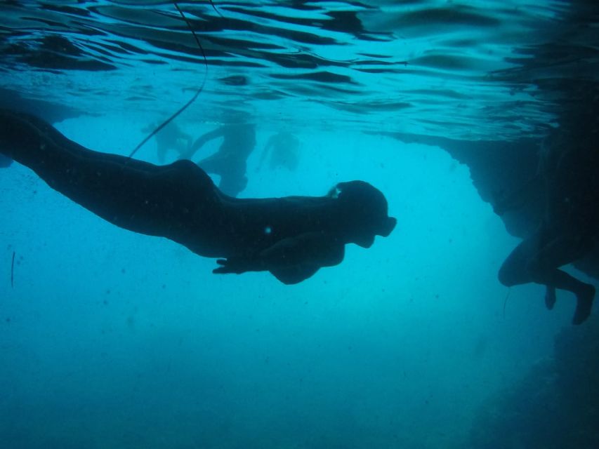 Dubrovnik: Blue Cave & Sunj Beach Boat Tour with Drinks - Key things I’d watch for