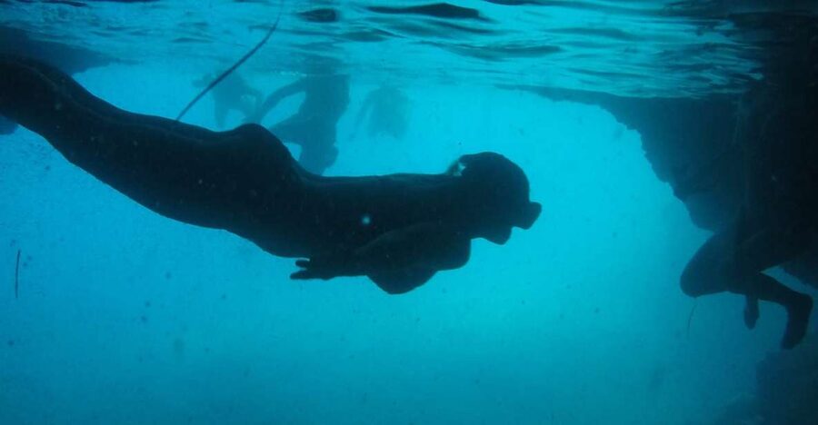 Dubrovnik: Blue Cave & Sunj Beach Boat Tour with Drinks - Elaphiti Islands, the easy way: what you get in 4 hours