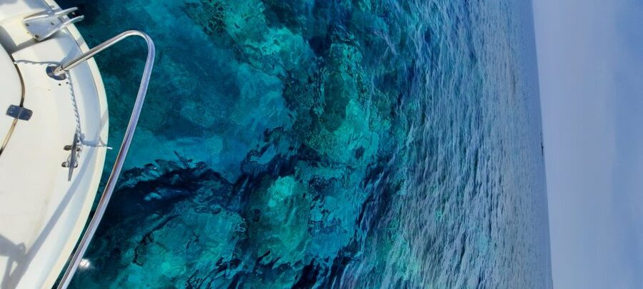 Dubrovnik: Blue Cave Tour by Speedboat - Blue Cave on Koločep: 30 minutes to swim, explore, and get your bearings