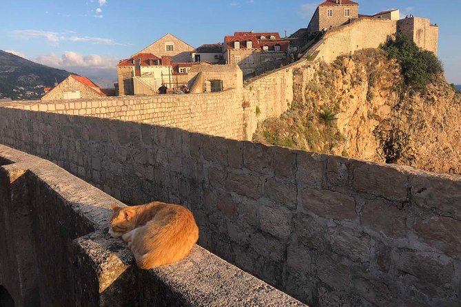 Dubrovnik City Walls Sunset Guided Tour - Fort Bokar: the western entrance defense and the view toward Fort Lawrence