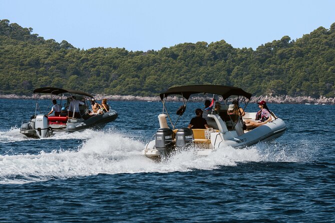 Dubrovnik Elafiti Islands & Blue Cave Fullday Tour - Port Gruz check-in and what “private” means in practice