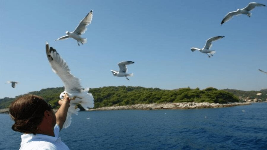 Dubrovnik: Elaphiti Islands Boat Cruise with Lunch & Drinks - Timing and Pacing: Why the Day Feels Relaxed