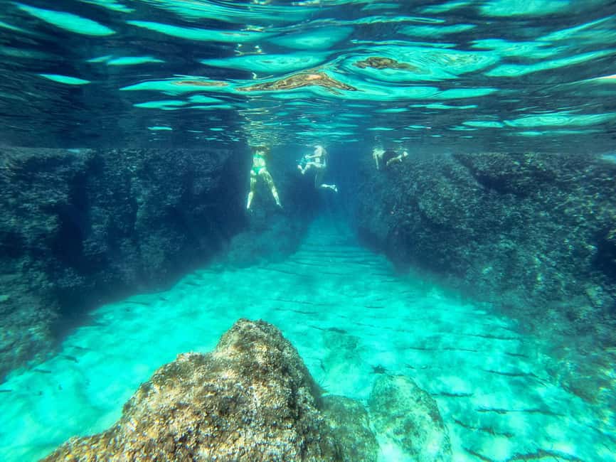 Dubrovnik: Elaphiti Islands Caves Snorkeling & Swimming Tour - Key highlights at a glance