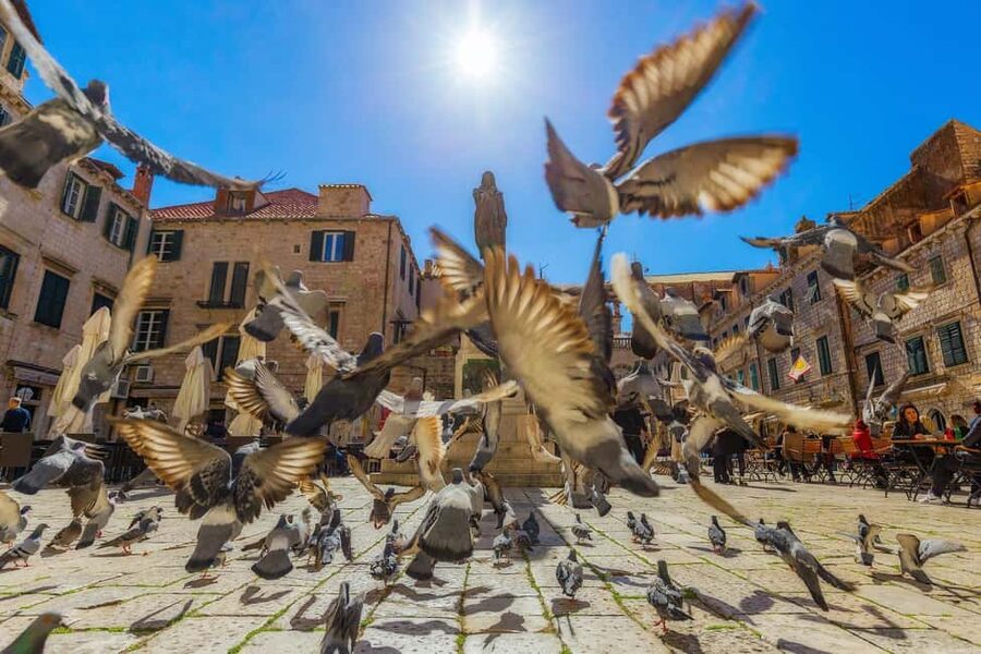 Dubrovnik for Kids: A Playful Family Walking Tour Experience - Key Points I’d Share With Other Families