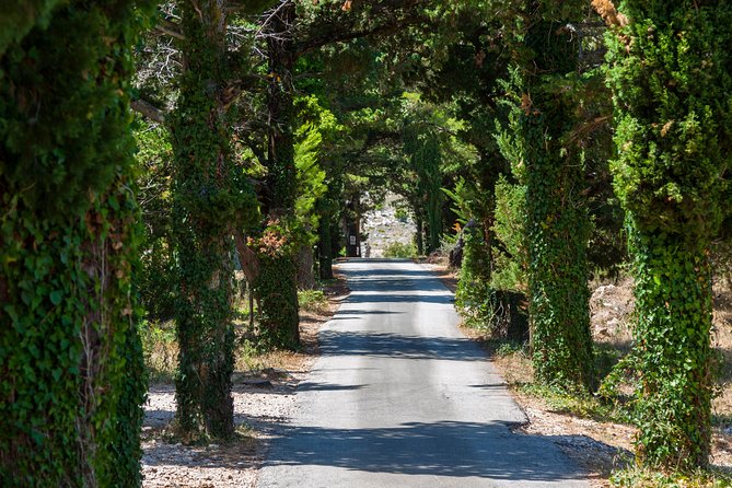 Dubrovnik Game of Thrones Driving Tour - King’s Road views and Dubrovnik’s real-world drama