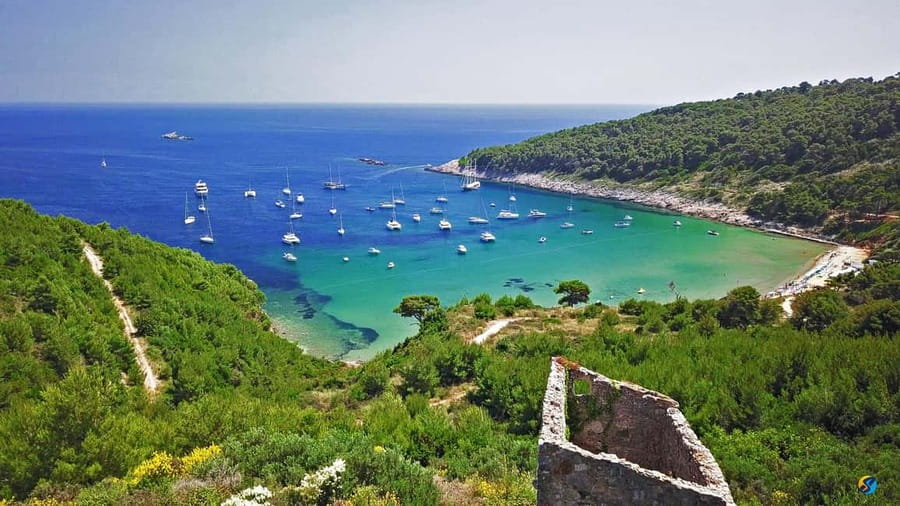 Dubrovnik: Half-Day Boat Tour to Elaphite Islands 4h - What to Bring, What You Can’t Bring, and Water-Smart Comfort