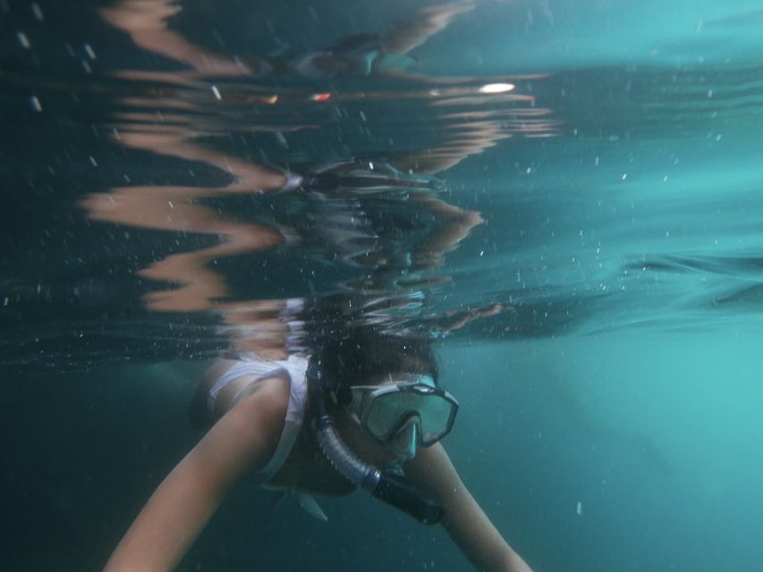 Dubrovnik: Half-Day Private Boat Trip to Elafiti Islands - Snorkeling gear, GoPro, and the little comforts on board
