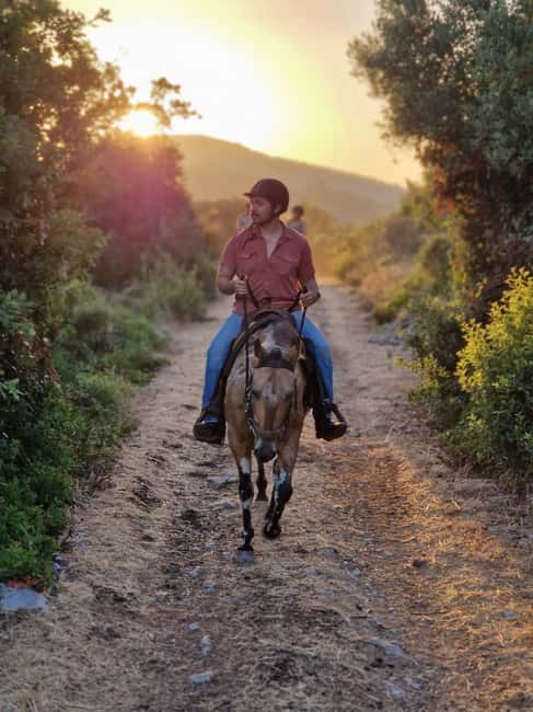 Dubrovnik Kojan Koral: Horseback Riding - Getting to the Ranch: Dubrovnik to Konavle in Half-Day Time