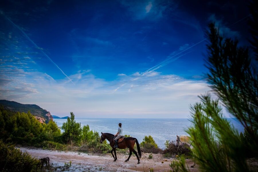 Dubrovnik Kojan Koral: Horseback Riding - Meeting Your Horse at Kojan Koral: Trained, Calm, and Ready
