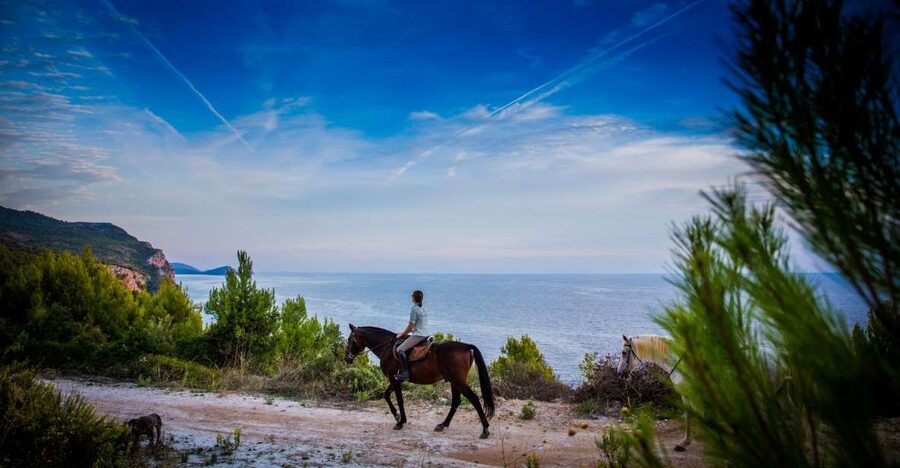 Dubrovnik Kojan Koral: Horseback Riding - The Popovići Stop: Riding Past Archaeology Without the Crowds
