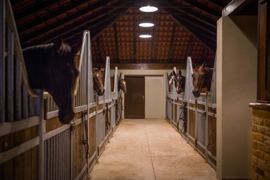 Dubrovnik Kojan Koral: Horseback Riding - Who Should Book This Ride (And Who Might Skip It)