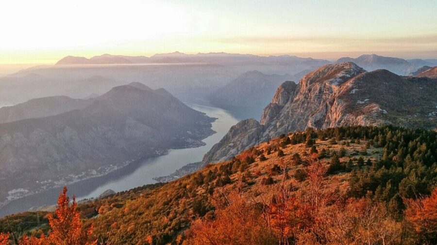 Dubrovnik: Kotor, Perast, Sveti Stefan, and Budva Day Trip - Price and Value: What $541 Buys You in a Private Day