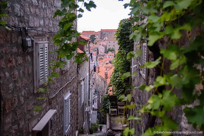 Dubrovnik Old Town Food Tour: Small-Group Experience - Price and Value: Is $169.38 Worth It?