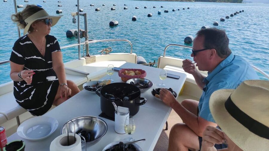 Dubrovnik: Oyster, Mussles, and Wine Tasting Tour in Ston - Key highlights at a glance