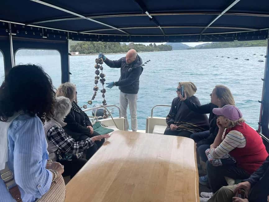 Dubrovnik: Oyster, Mussles, and Wine Tasting Tour in Ston - Bridge Stops and Dubrovnik Panoramas on the Way Back