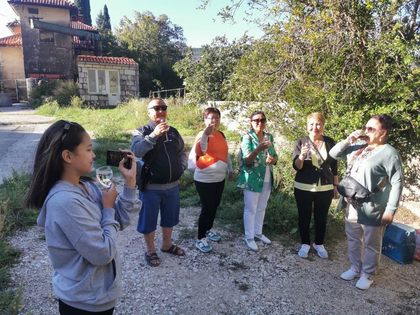 Dubrovnik: Panorama Tour with Free Time in the Old Town - Dubrovnik Old Town on your own terms, with real guidance before you go