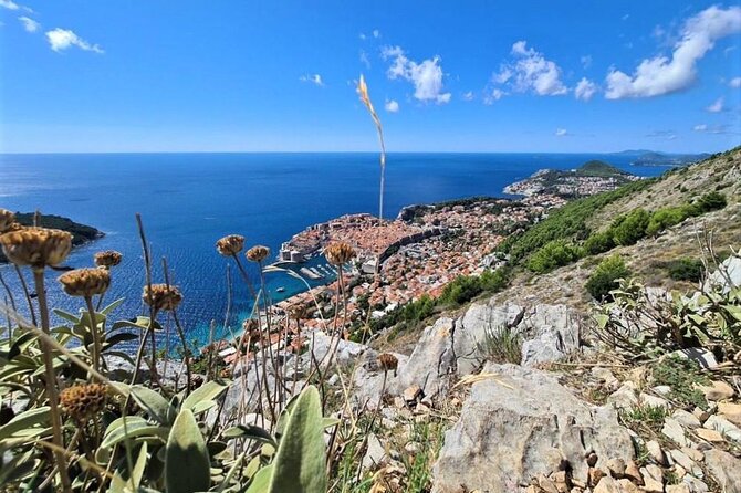 Dubrovnik Panoramic Sightseeing Tour with Guide (minivan) - Why a Dubrovnik panoramic minivan tour beats DIY on busy days