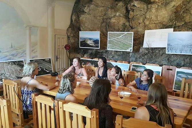 Dubrovnik & Peljesac (Ston & winery) 7-8h PRIVATE SHORE TOUR - Peljesac winery in Ponikve: tasting wine, liqueur, and olive oil