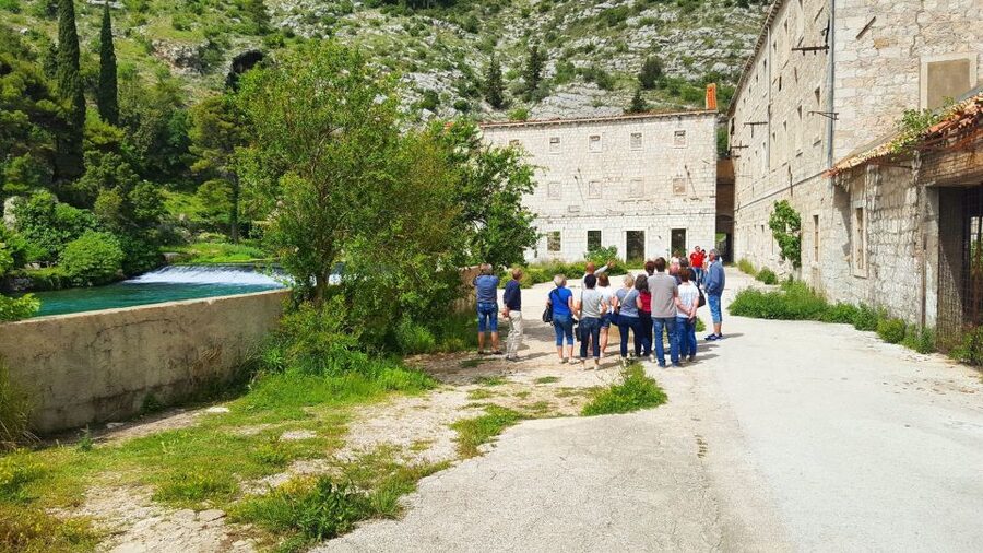 Dubrovnik: Private Cooking Experience with Wine Tasting - Pelješac Winery Wine Tasting: Red and White, Served with Context