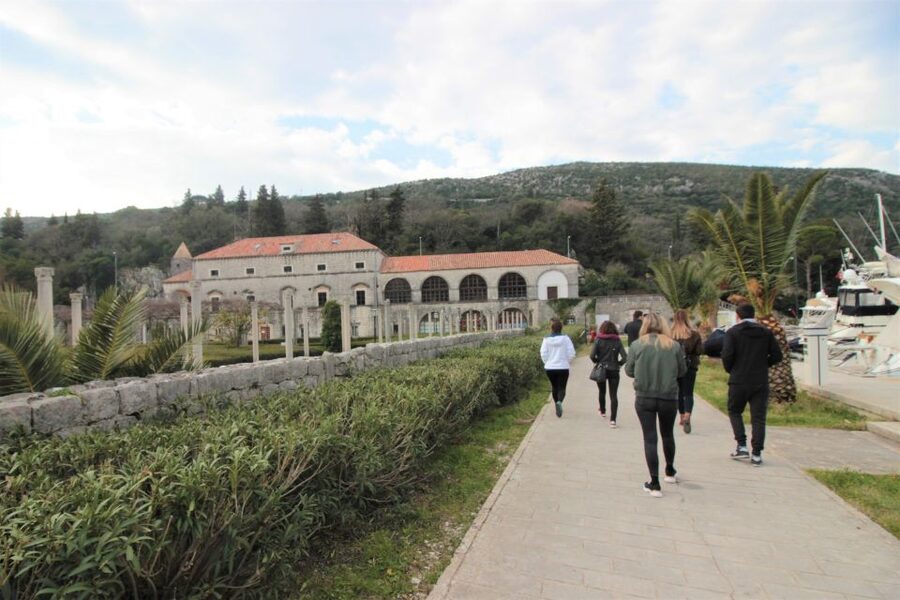 Dubrovnik: Private Cooking Experience with Wine Tasting - Price and Value: What $995 Per Group Really Buys
