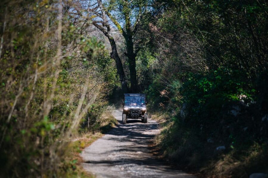 Dubrovnik: Private Panoramic Half-Day Buggy Tour with Brunch - Key things to know before you go