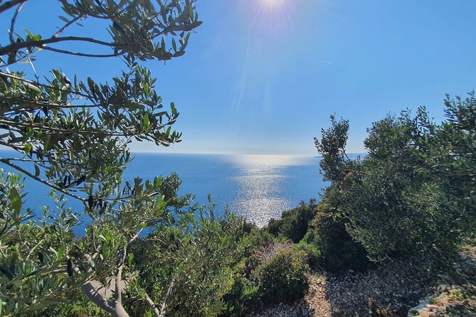Dubrovnik Private Wine Tasting Tour to Peljesac Peninsula - Why a private Peljesac wine tour feels worth it